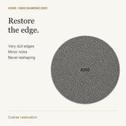HONE 200 — Purpose