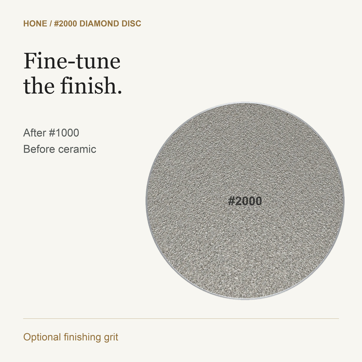HONE 2000 — Purpose