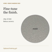 HONE 2000 — Purpose